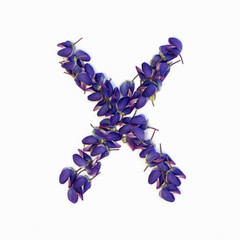 Letters of flowers, a bright alphabet of purple petals. Letter X.