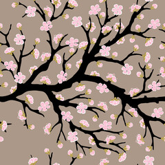 Seamless pattern with blooming sakura tree branch. Vector illustration.