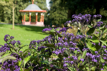 View of the Arboretum in the east end of Lincoln, Lincolnshire, UK - August 2009