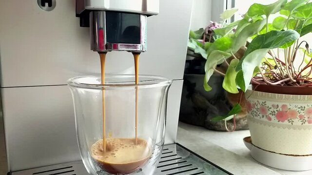 Pouring coffee flow from a professional machine into a cup. Morning preparation of a drink from a coffee machine. Drinking roasted black coffee for breakfast.