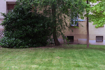 Space with tree facade an bush.