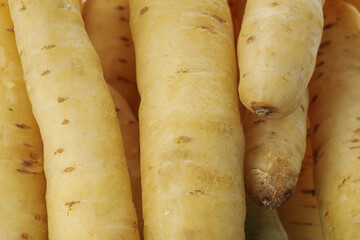 Fresh raw white carrots as background, closeup