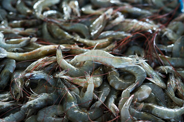 Fresh bunch of Shrimp for sale at traditional fish market in Indonesia