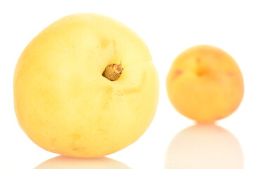 Fresh ripe, bright yellow apricots, close-up, on a white background.