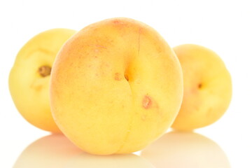 Fresh ripe, bright yellow apricots, close-up, on a white background.