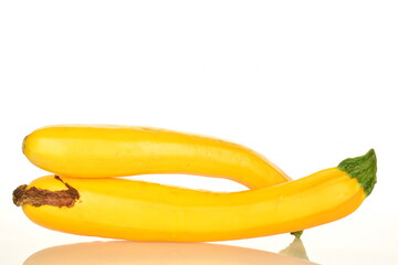 Fresh ripe, bright yellow zucchini, close-up, on a white background.