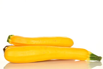Fototapeta na wymiar Fresh ripe, bright yellow zucchini, close-up, on a white background.