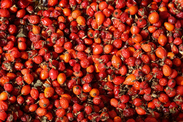 Ripe rose hip texture 