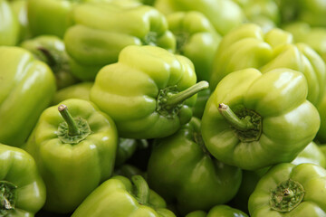 Green chili peppers in the market