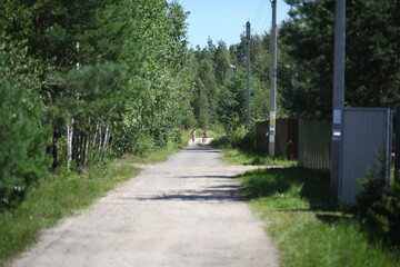 road in the village