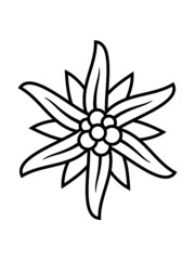 Bergblume Edelweiß Logo Wanderer Clipart