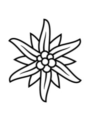 Bergblume Edelweiß Logo Wanderer Clipart