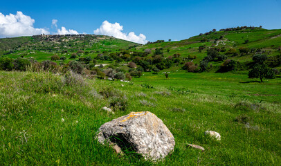 Water meadows and hills on the Mediterranean coast on the island of Cyprus.