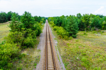 Obraz premium Old railroad in forest on summer
