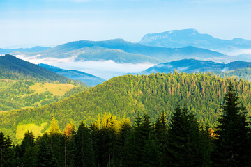 Summer landscape in Apuseni Mountains, Romania