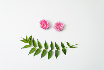 Composition of green tropical leaves on a white background. Flat lay. Top view.