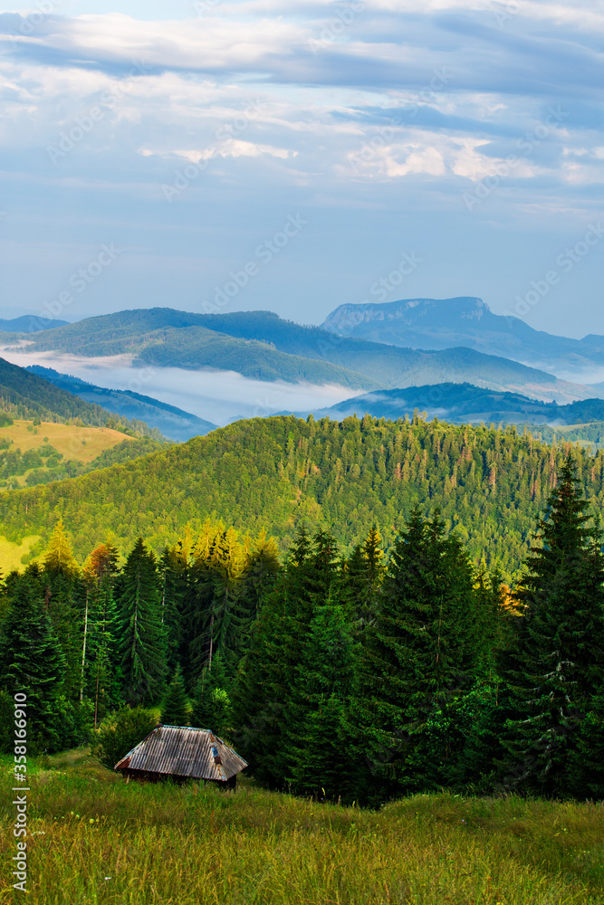 Canvas Prints Summer landscape in Apuseni Mountains, Romania