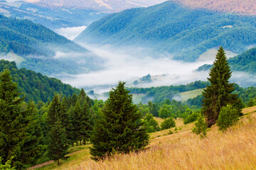 Summer landscape in Apuseni Mountains, Romania