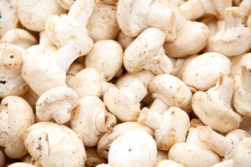 Fresh white small mushrooms in the stock