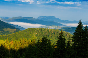 Summer landscape in Apuseni Mountains, Romania