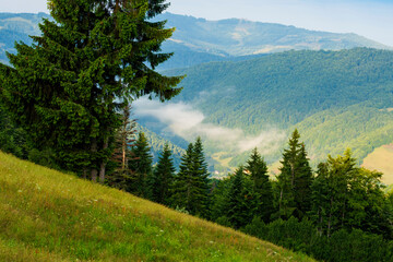 Summer landscape in Apuseni Mountains, Romania