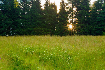 Summer landscape in Apuseni Mountains, Romania