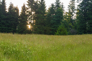 Summer landscape in Apuseni Mountains, Romania