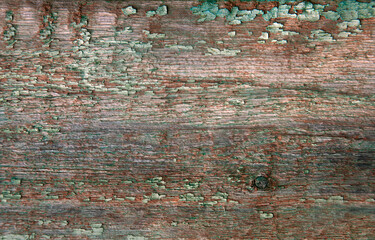 mosaic in the park guell