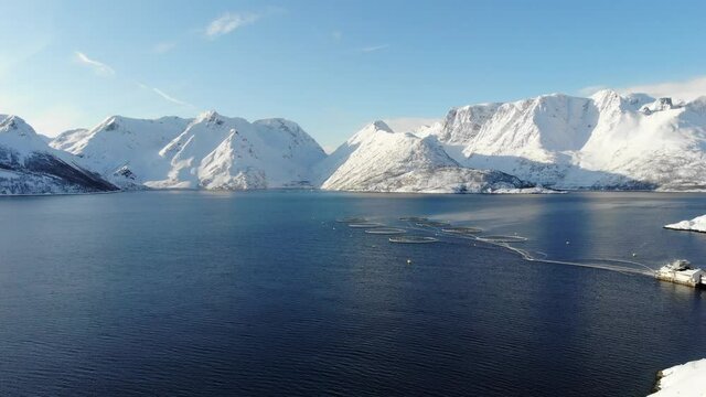 Salmon farm, Varangerhalvoya, Soroya, Norway