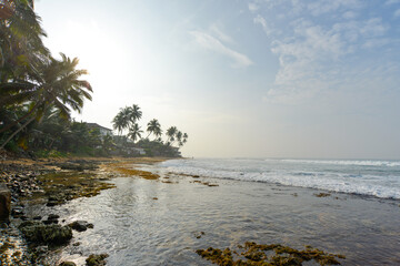plage du sud de l'ile du Sri Lanka avec bateau et palmier