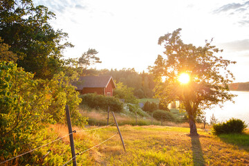 Red summer garden cottage in Sweeden. Traditional Sweden wooden old house. Life on the one of Sweeden islands