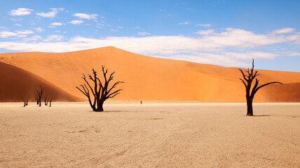 Namibian desert landscape