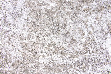 Texture of cement and concrete texture for pattern and background,wall for background