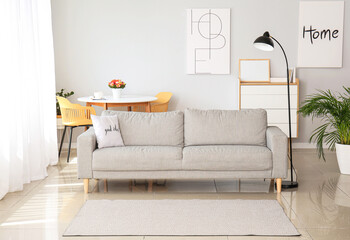Stylish interior of modern living room with sofa