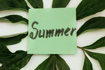 text summer on a green background and green plant leaves