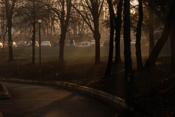 morning in the park