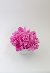 bouquet of pink peonies on a white background