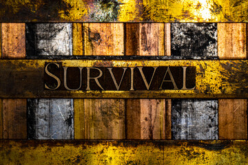 Survival text formed with real authentic typeset letters on vintage textured silver grunge copper...