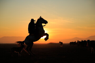 Rider and prancing horse. A view at sunset. Cappadocia, Turkey