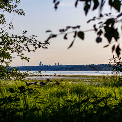 Obraz premium View towards Seattle through the foliage across Juanita Bay and Lake Washington