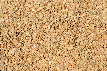 Green unroasted coffee beans. Stack view.