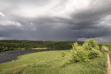 Nice big mountain river with a beautiful view. A rock on the side of a brook. Stock landscape for design
