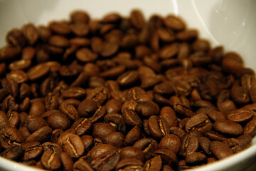 Fresh brown arabic coffee beans in white bowl