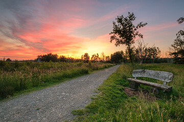 Abendstimmung im Moor