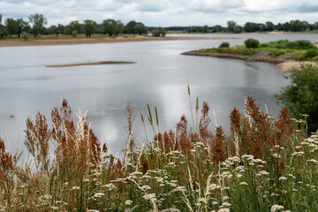 Elbtalaue bei Hitzacker