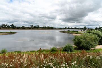 Elbtalaue bei Hitzacker