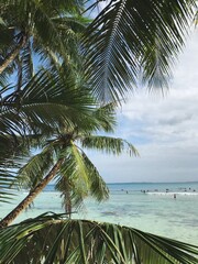 Surf at the secret beach