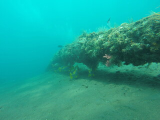 Epave, plongée sous marine à Bali, Indonésie