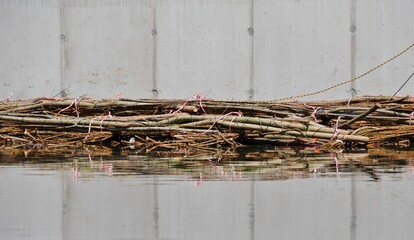 Geäst am Fluss als Brutstätten