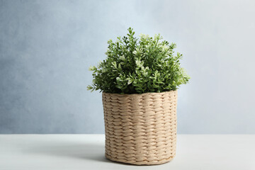 Artificial plant in wicker flower pot on white wooden table